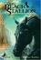Cover of "The Black Stallion"
