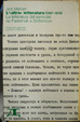 Cover of L'