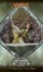 Cover of Shadowmoor