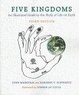 Cover of Five Kingdoms