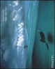 Cover of Acqua Luce Tempo