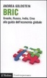 Cover of BRIC