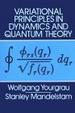 Cover of Variational Principles in Dynamics and Quantum Theory
