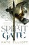 Cover of "Spirit Gate"