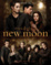 Cover of New moon