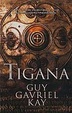 Cover of Tigana