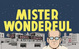 Cover of Mr Wonderful