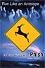 Cover of Run Like an Antelope