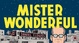 Cover of Mister Wonderful