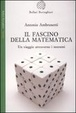 Cover of Il fascino della matematica