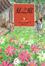 Cover of 夏之庭