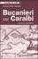 Cover of Bucanieri nei Caraibi