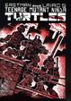 Cover of Teenage Mutant Ninja Turtles vol. 1