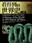 Cover of 看得到的世界史 上冊