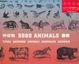 Cover of 5000 Animals