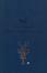 Cover of Il lato visibile delle cose