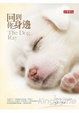Cover of 回到你身邊
