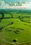 Cover of "Pagan Celtic Ireland"