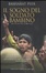 Cover of Il sogno del soldato bambino