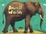 Cover of Animal Worlds