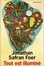 Cover of Tout est illuminé