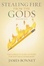Cover of "Stealing Fire from the Gods"