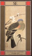 Cover of La tazza e il bastone