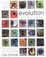Cover of Evolution