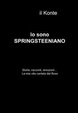 Cover of  Io sono springsteeniano