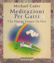 Cover of Meditazioni per gatti che hanno troppo da fare
