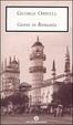 Cover of Giorni in Birmania