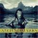 Cover of Ancient Marks
