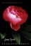 Cover of Jane Eyre