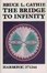 Cover of The Bridge to Infinity
