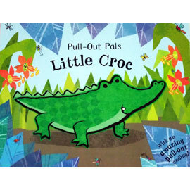 More about Little Croc