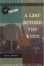 Cover of 'A Lake Beyond the Wind'