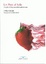 Cover of Un post al sole