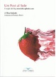 Cover of Un post al sole