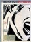 Cover of Raymond Pettibon