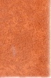 Cover of storia dei tredici