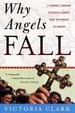Cover of Why Angels Fall
