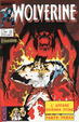 Cover of Wolverine n. 13
