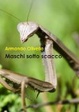 Cover of Maschi sotto scacco