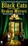 Cover of Black Cats and Broken Mirrors
