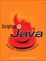 Cover of 'Scripting in Java'