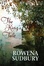 Cover of The King's Tale