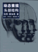 Cover of 动态素描/头部结构/美术译丛/Drawing the human head