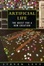 Cover of Artificial Life