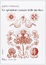 Cover of Lo splendore casuale delle meduse