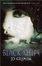 Cover of Black Ships